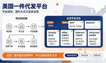 Infographic of US one piece dropshipping platforms, supply chain workflow and comparison of Amazon, Shopify, eBay, Walmart, TikTok Shop